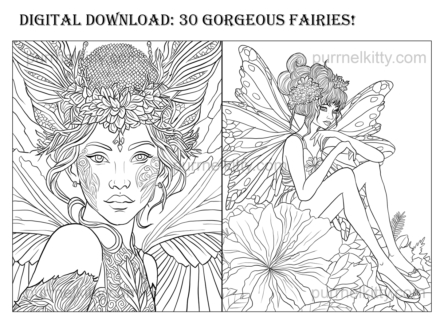 Printable Fantasy Fairy Adult Coloring Book 30 Page Art Bundle