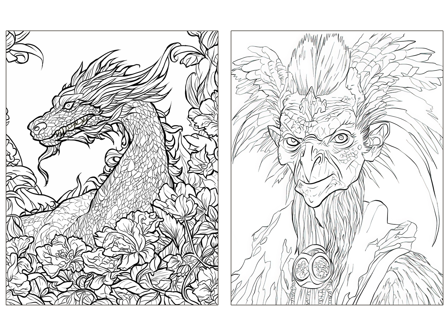 RPG Adventurer's Coloring Book Bundle I - Digital Download